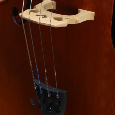 Eastman Otto Benjamin MC100 Cello *Used 2008 image 5