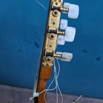 Mário Machado 7-String Guitar,  nylon strings, 2002 image 20