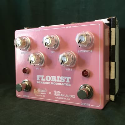 Benson Amps / Non-Human Audio Florist Dynamic Modulator | Reverb