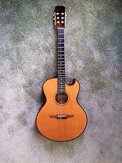 Wechter florentine shop nylon for sale