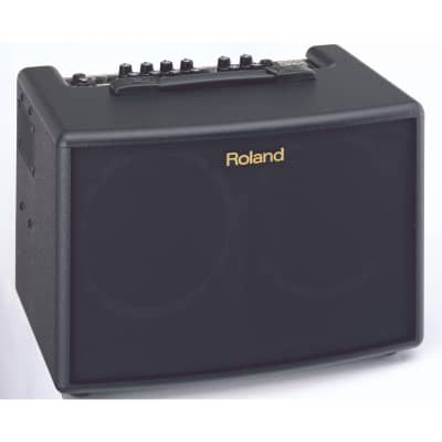 Roland AC-60 Acoustic Chorus 2-Channel 60-Watt 2x6.5