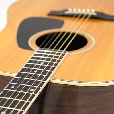 1980s Morris MD-505 Acoustic Dreadnought Guitar - Natural