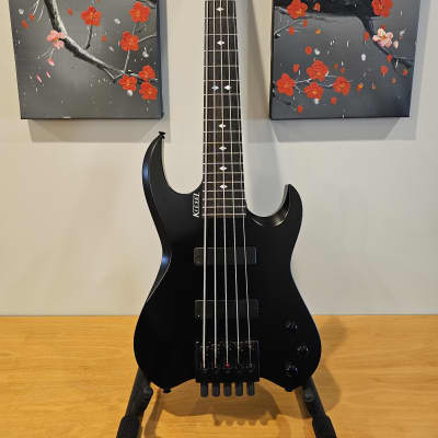 Kiesel Vader 5 headless bass - black for sale