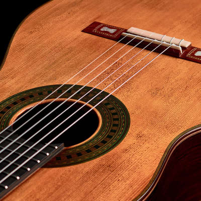 Immagine Wolfgang Jellinghaus Torres 43 2022 Classical Guitar Spruce/Indian Rosewood - 3