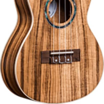 Anuenue AQUA-CK2 Classic Koa II Concert Ukulele | Reverb