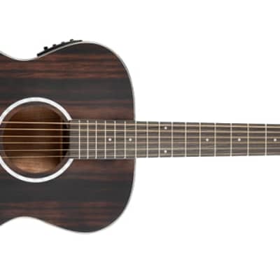 Washburn DFEFE-U Deep Forest Folk Acoustic/Electric Guitar Striped Ebony image 7