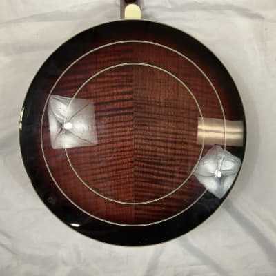 Lida Vintage 4-String Banjo 19 Frets Remo Weatherking Banjo Head USA With Case image 11