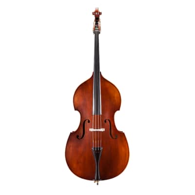 Eastman VB105 Step Up Double Bass - Outfit 3/4 image 1