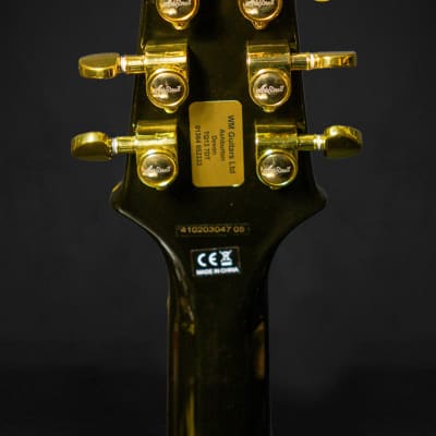 Aria Pro II PE-350 PF Electric Guitar image 6