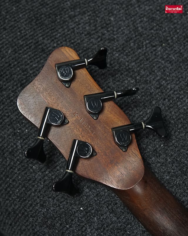 Warwick Thumb Bo 2005 | Reverb