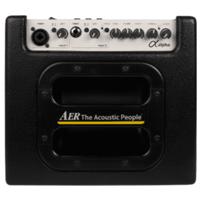 AER Alpha | 2 chnl 40-Watt 1x8" Acoustic Guitar Combo. New with Full Warranty! image 3