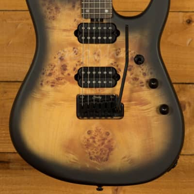 Sterling By Music Man | Richardson6 - Natural Poplar Burl Burst