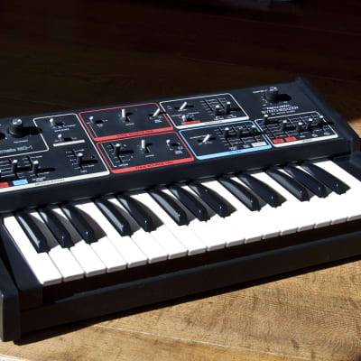 Moog Realistic Concertmate MG-1 with Dust Cover - 1981 - Black