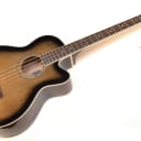 Ibanez AEB10E Acoustic-Electric Bass Guitar Dark Violin Sunburst - Pro Setup