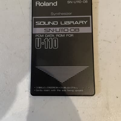 Roland SN-U110-08 Synthetizer