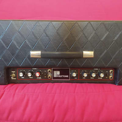 Polytone Mini-Brute V  Rare 2x10' Speakers version image 6