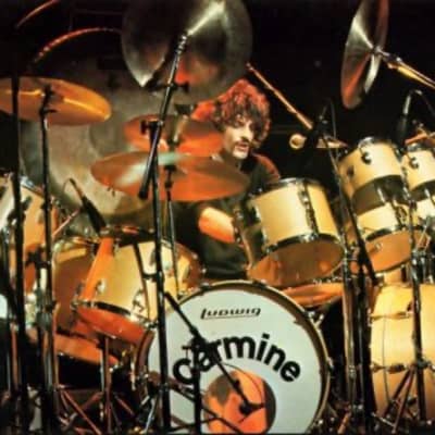 Wuhan Carmine Appice's 18", No Stamp, Prototype China (CA2 #1) image 2