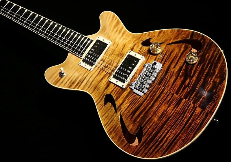 T's Guitars Arc-Hollow 22 Brawn Faded[Made in Japan]