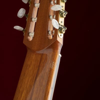 Immagine 1981 Sergei de Jonge 10 String Classical Guitar - Brazilian Rosewood, Luthier Letter of Appraisal - 18