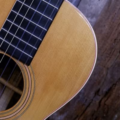 Washburn Model 1897 #111 Parlor Guitar 1903-1904 - Natural image 7