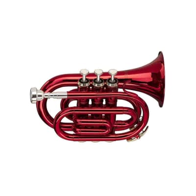 Stagg WS-TR247S ML-Bore, Brass Body Bb Pocket Trumpet w/Soft Case & Mouthpiece 7C Silver Plated image 4