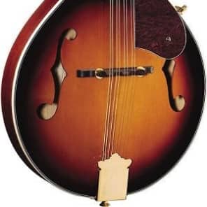 ギター Fender Mandolin FM-60s Fender FM-60 -RARE- Electric Mandolin 5 String Sunburst | Reverb