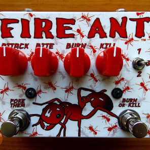 Tortuga Fire Ant