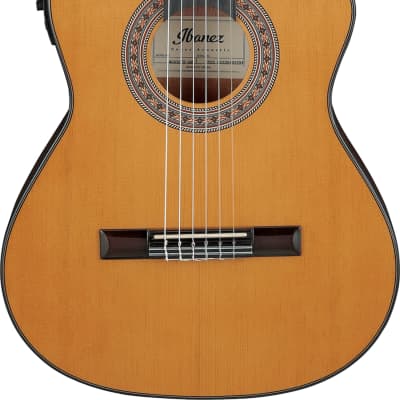 Ibanez GA5TCE3Q 3/4 Size Thinline Classical Acoustic-Electric Guitar, Amber image 9