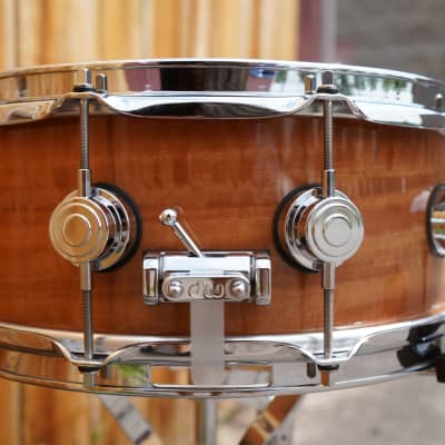 DW + USA + Collectors Exotic Natural Fiddleback Eucalyptus 5 1/2 x14" Snare Drum=NOS image 5
