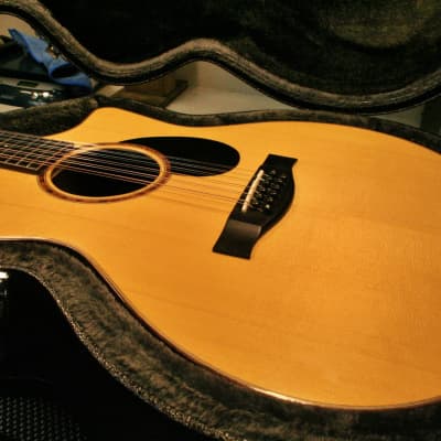 2014 Eastman AC522CE-12  Natural image 11