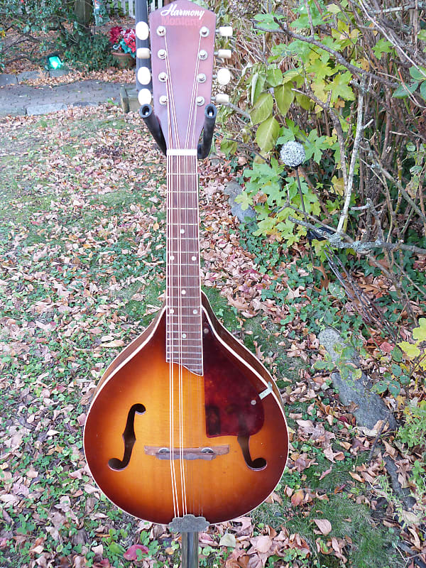 Harmony Monterey mandolin image 1