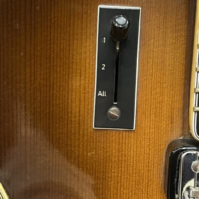 1964 Hofner Committee E2 Archtop Guitar | Reverb UK