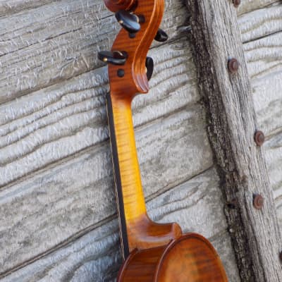 Professional Violin, Antique Dark Brown Varnish, Handmade in Kansas USA by Colton Mulder, Crow Creek Fiddles 2023 image 19