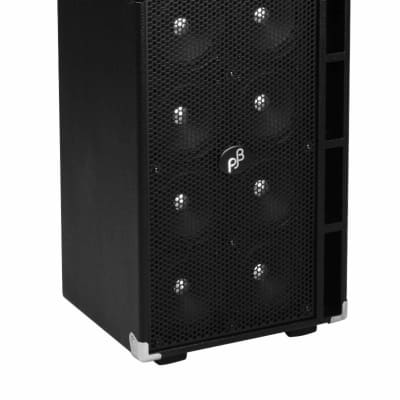 Phil Jones PB300 Powered Speaker Cab Black | Reverb