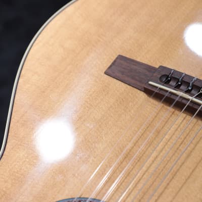 Godin Arena Flame Maple CW EQ "B-Stock" LR Baggs Element Thinline Electro-Classical Guitar image 11
