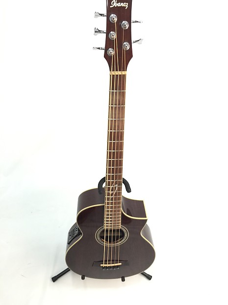 Ibanez EWB205WNE Exotic Woods 5-String Acoustic-Electric Bass