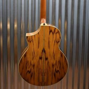 Ibanez EW20ZWENT Exotic Wood Series Zebrawood Acoustic Electric Guitar image 9