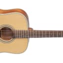 Takamine GD20 NS Acoustic Guitar - Natural Satin