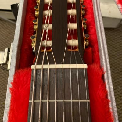Daniel Mendes Eight String Guitar 2018 Cedar / Brazilian Rosewood image 2
