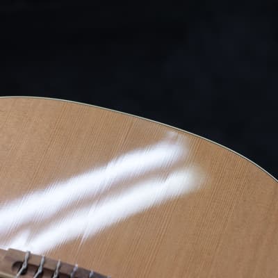 Godin Concert LEFT "B-Stock" Solid Mahogany / Solid Cedar Top Classical Guitar image 12
