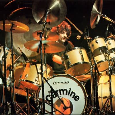 Carmine Appice’s, Rod Stewart Era Paiste 38″ Gong 1970s image 2