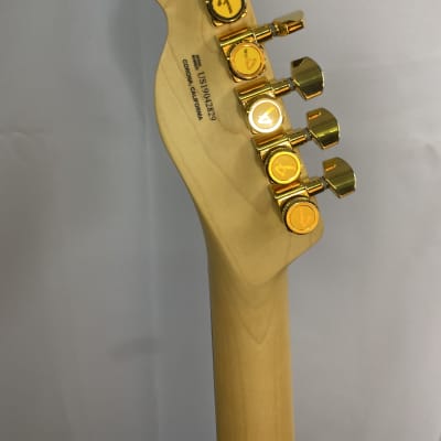 Fender Telecaster thin line elite USA made image 5