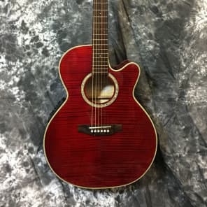 Takamine g series eg540c sale