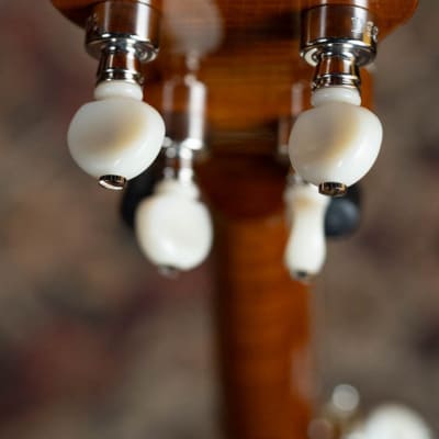 Deering Calico 5 String Curly Maple Resonator Banjo w/Spikes Installed #AX45 image 17