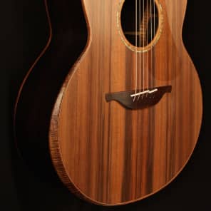 Lowden F50 African Blackwood 2015 Brand New w/Bevel image 4