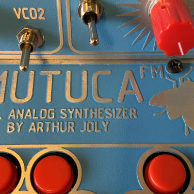 Reco-Synth Mutuca FM - Analog Synthesizer by Arthur Joly - Ultra Rare image 14