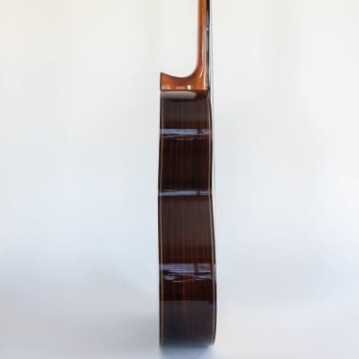 Asturias Custom S 630mm Spruce/Indian Rosewood 2020 Classical Guitar image 4