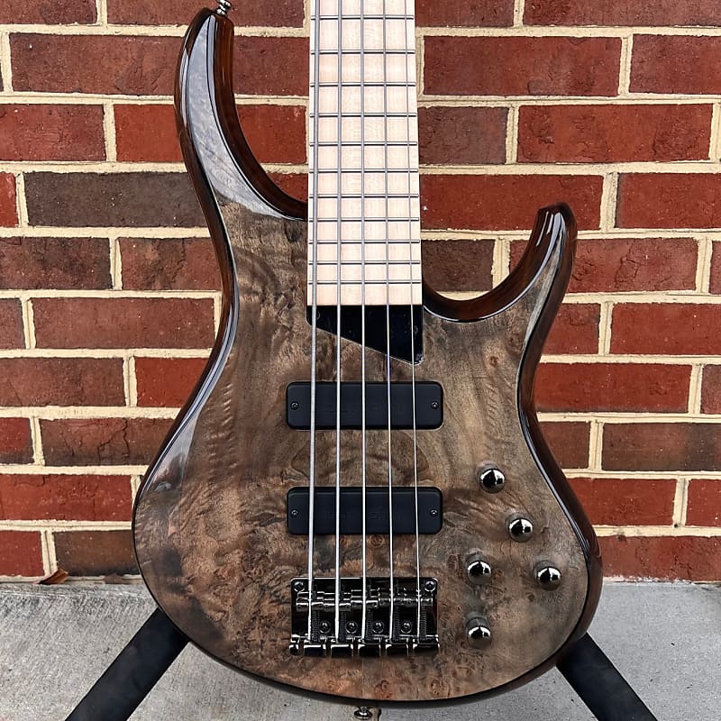 MTD Kingston ZX 5-String, Trans Mocha Gloss, Maple Burl Top