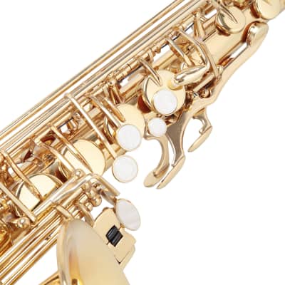 Glarry Alto Saxophone E-Flat Alto SAX Eb with 11reeds, case, carekit, Gold Color for Students image 5