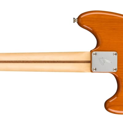 Fender Player Series Mustang 90 ,  Pau Ferro Fingerboard, Aged Natural -  MIM image 2